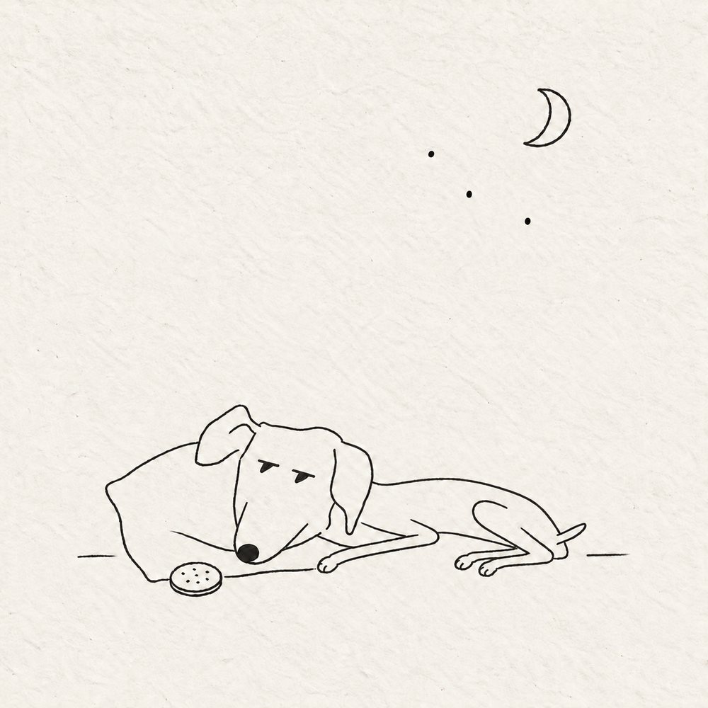 夜、落書き帳のページで眠るプア。枕元にかじっていないビスケット
